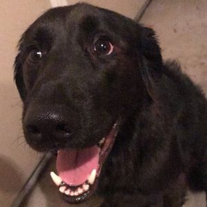 Meet your Posher, Mitch